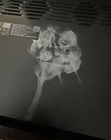 surface go 2: Игровой ноутбук Lenovo IdeaPad Gaming 3 15ACH6 (15.6") Основные — 4