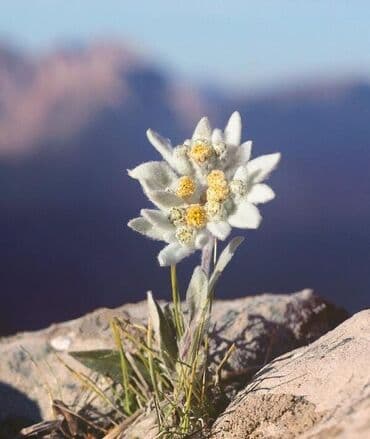 официант в бильярдный клуб: Учительница английскиского языка
студентка 2-курс — 1