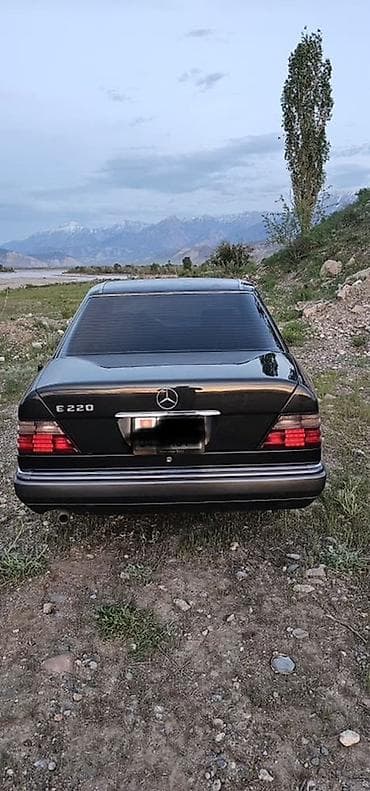 Mercedes-Benz W124: 1993 г., 2.2 л, Кол менен иштөөчү, Бензин, Седан — 5