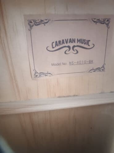 мини микрофон: Гитаралар — 1