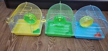 Башка жаныбарлар: ПРОДАЮ ДЖУНГАРСКИХ И СИРИЙСКИХ ХОМЯЧКОВ,А ТАК ЖЕ — 10