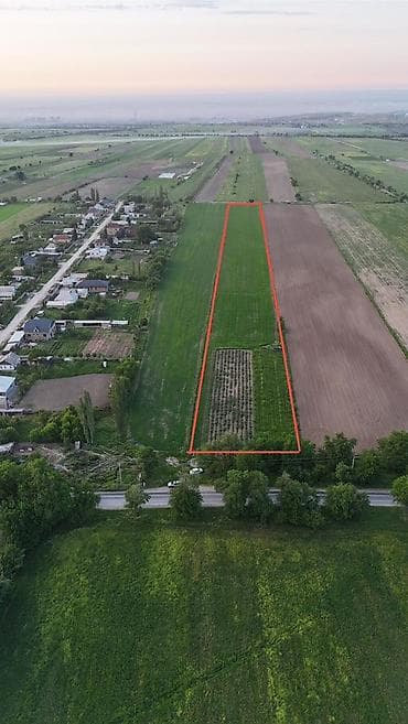 участок в новопокровка: 2500 соток, Тех паспорт — 4