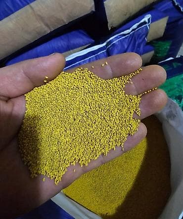 продаю вату: Семена еспарцеп 130сом 7жыл гарантия 100%Семена кукурузы МАНАС 1000 - — 3