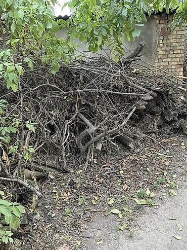 фруктовый дрова: Отдам даром Дрова для растопки, только самовывоз — 1