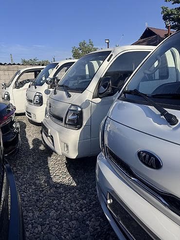 2020: Легкий грузовик, Kia, Стандарт, 3 т, Б/у — 1