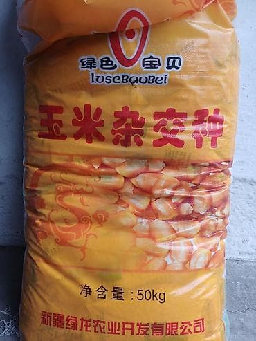 семена купить бишкек: Семена люцерны — 4