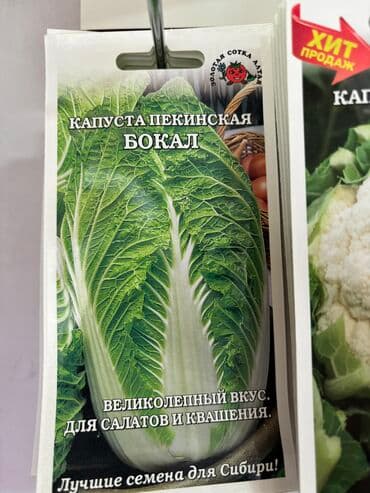 морковь семена: Семена капусты «Колобок» «Амагер 611» «Московская Поздняя 15» «Слава — 11