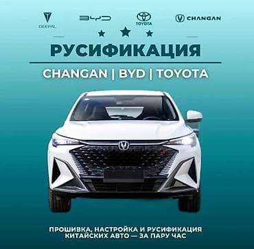 настройка гитары: Русификация автомобилей из Китая, США и Кореи Профессиональная — 8