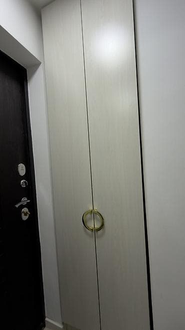 Шкафтар: Кире бериш үчүн шкаф, Күзгүсүз, ЛДСП — 3