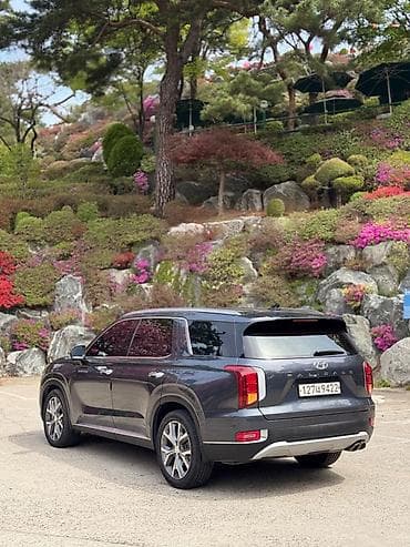 byd pro: Hyundai Palisade: 2020 г., 2.2 л, Автомат, Дизель, Кроссовер — 6