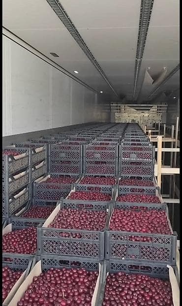 отун в мешках: Черешня Оптом — 1