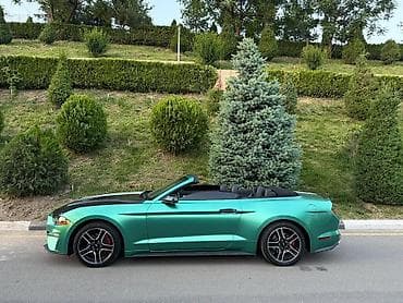ford mustang купить: Ford Mustang: 2018 г., 2.3 л, Автомат, Бензин, Кабриолет — 2
