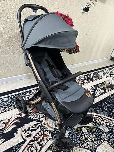Башка товарлар: Прогулочная коляска коп деле колдонбодук. Уйдун ичинде эле колдондук — 1