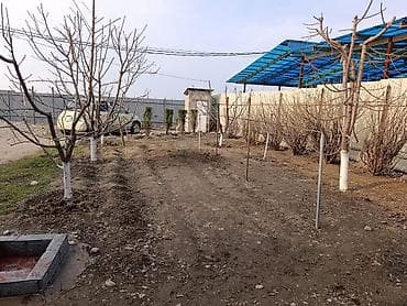 4 соток, Для бизнеса