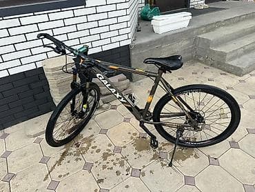 велики из германии: Горный велосипед, Galaxy, Рама M (156 - 178 см), Сталь — 2