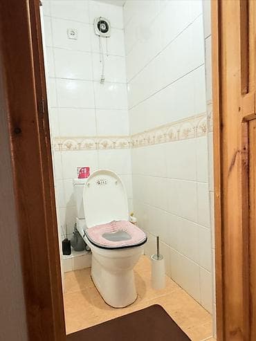 аренда домов балыкчы: 2 комнаты, Собственник, С мебелью полностью — 5