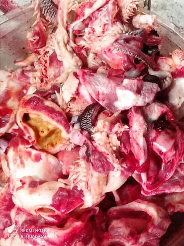 мясо с доставкой бишкек: Обрезка для собакоптом 30 сом за килограмм — 1
