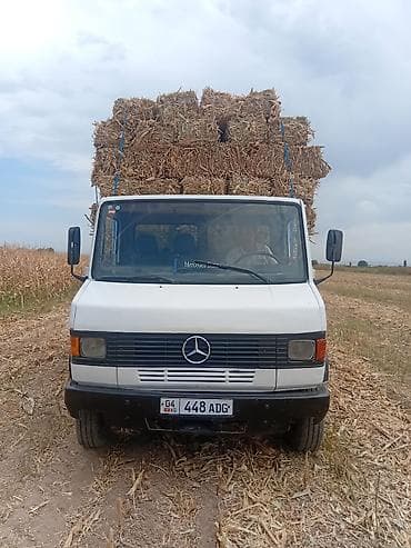 Грузовик, Mercedes-Benz, Стандарт, 5 т, Б/у