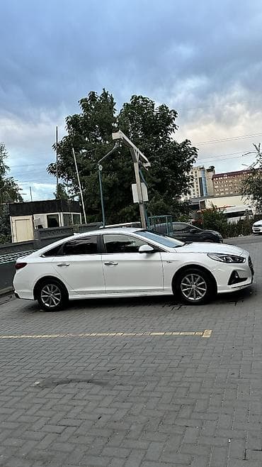 892 2: Hyundai Sonata: 2019 г., 2 л, Автомат, Газ, Седан — 5