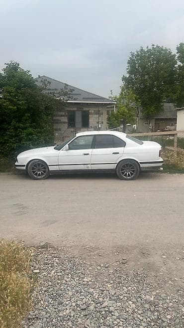е34 дверь: BMW 5 series: 1990 г., Седан — 4