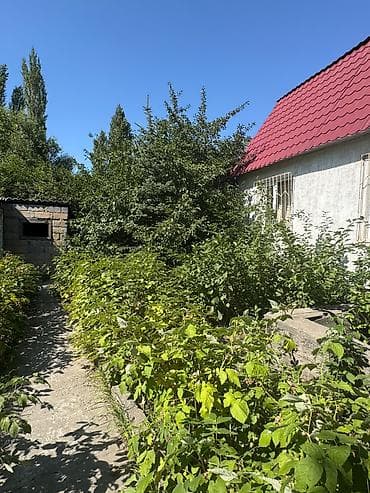 Дома: 🏡 Продается участок 8 соток Отличное место для строительства ДЕТСКОГО — 6