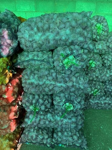 Чеснок Оптом, Самовывоз