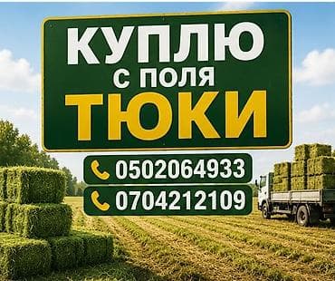 microsoft office: Услуга: закупка тюков с поля. Описание: - Покупаем тюки сена/соломы — 2