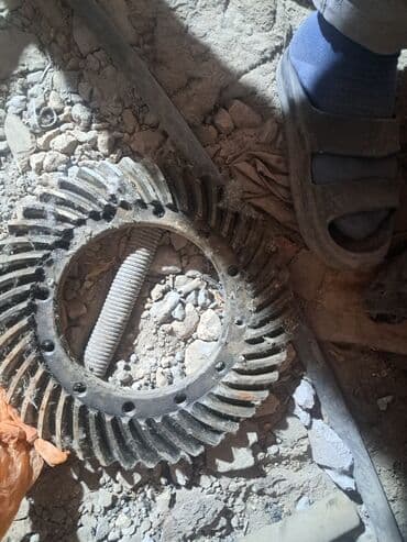 прокат карнавальных костюмов в бишкеке фото: ЮТО 904 2012 — 5