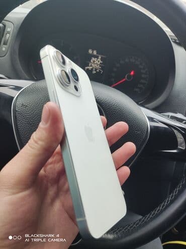 нодбук айфон: IPhone 15 Pro Max, Колдонулган, 512 ГБ, Ак, Заряддоочу түзүлүш, Куту, 99 % — 7