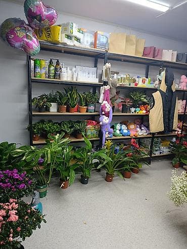 магал: Флористическая студия и магазин “Цветы / Гүлдер ” - Авторские букеты — 5