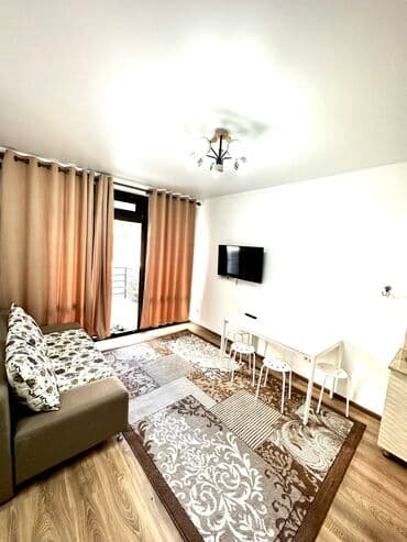 дом в аренду: Квартира, квартира ЦО Радуга, Сары-Ой, Батут, Детская площадка, Закрытый пляж — 8