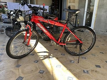 Велосипеддер: Тоо велосипеди, Болот — 3