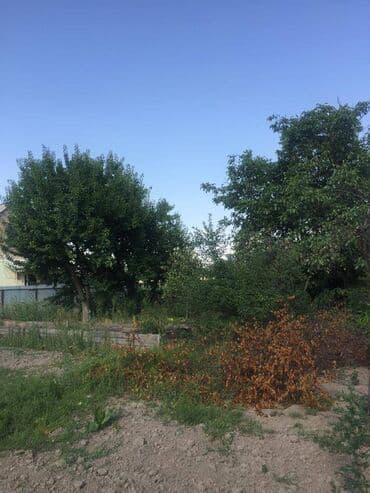 дом на иссык куле купить: 7 соток, Для строительства, Красная книга — 2