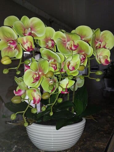 Вазалар: Искусственная композиция орхидей в кашпо. - Реалистичные фаленопсисы — 6