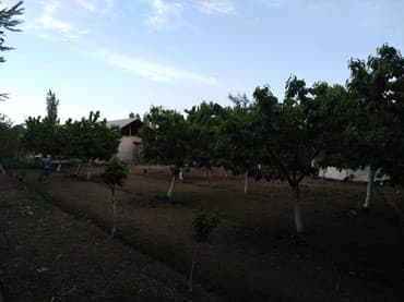 дом село джал: Срочно продается помещение под бизнес вдоль дороги 2- х уровней — 7