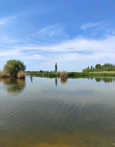 обмен кв на дом: 600 соток, Для бизнеса, Красная книга — 20