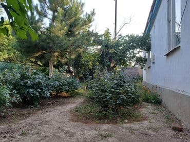 кайынды дом: Дом, 90 м², 5 комнат, Собственник — 38