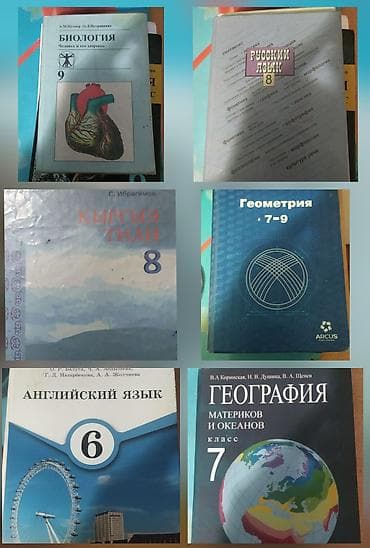 книги 6 класс: Набор школьных учебников (Кыргызстан/РФ издания), предметы и классы — 2