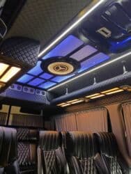 sprinter vip: Автобус, Mercedes-Benz, 2.2 л — 9