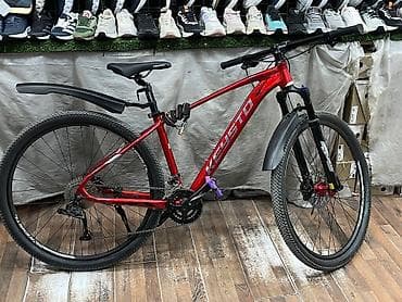 Велосипеддер: Тоо велосипеди, Велосипед алкагы L (172 - 185 см), Алюминий, Жаңы — 10