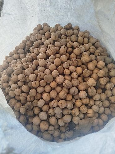 Продаю орехи грецкие