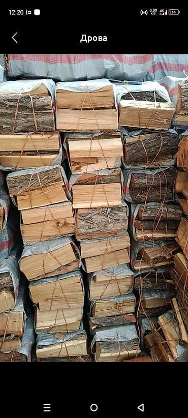 Таңгактоо товарлары: Отун — 10