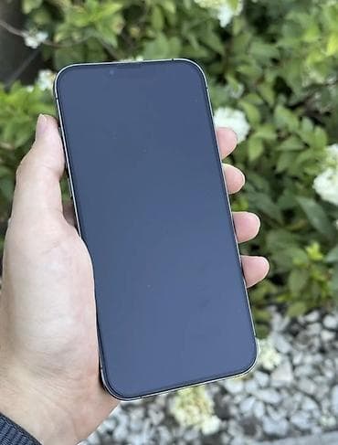 usb mini: IPhone 13 Pro Max, Б/у, 256 ГБ, Jet Black, Зарядное устройство, Защитное стекло, Чехол, 100 % — 2