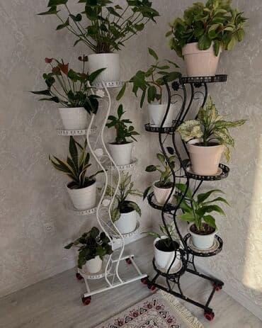 стеллаж над стиральной машиной: Этажерка для цветов, Новый, Железо, Самовывоз, Платная доставка — 7