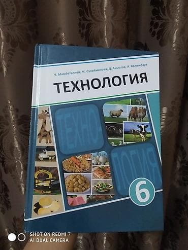 электронный скутер: Новая книга технологии 6класса — 1