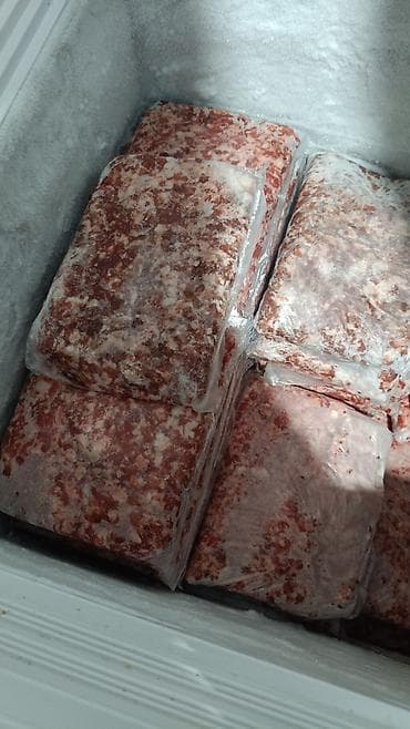 килограмм мяса говядины цена: Продаю фарш из говяжьего и бараньего мясо в перемешку,средней — 1