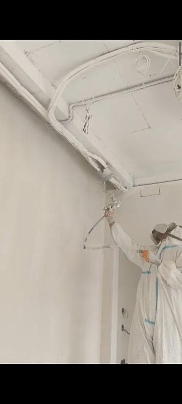 Покраска ворот, Покраска стен, Покраска потолков, На водной основе, На масляной основе, 3-5 лет опыта