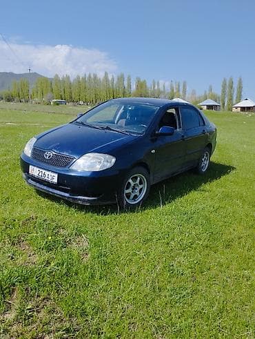 седан срочно продаю: Toyota Corolla: 2002 г., 1.6 л, Ручные, Бензин, Седан — 5