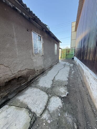 первая: 4 соток — 3