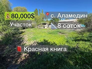 Кыймылсыз мүлк: 8 соток, Курулуш, Кызыл китеп — 1